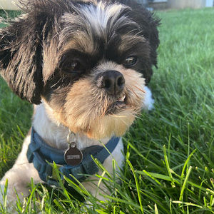 Meet your Posher, Kate